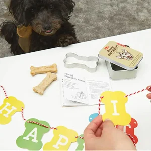 Kit Compleanno Cane – Kikkerland